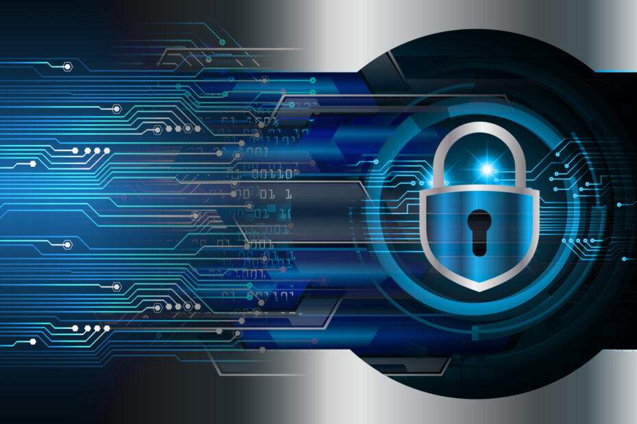 Guide pratique pour protéger un site e-commerce en 2025